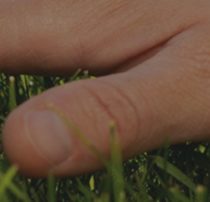 So Many Of Our “Experiences” Are Abstract. What Happens When We Lose Our Connections To Sensory Touch?