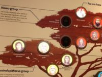 Your Backstory Might Be Wrong. That’s A Problem