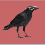 Fascinating: What Scientists Are Learning About Cognition In Animals