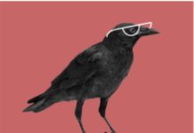 Fascinating: What Scientists Are Learning About Cognition In Animals