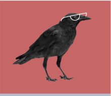 Fascinating: What Scientists Are Learning About Cognition In Animals