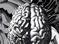 Our Brains Aren’t Just Gray Matter, They’re White Matter, Too — And Its Shape Makes A Huge Difference