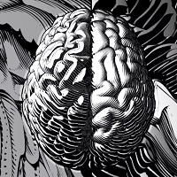 Our Brains Aren’t Just Gray Matter, They’re White Matter, Too — And Its Shape Makes A Huge Difference
