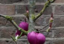 In London, Gilbert And George Open Their Own Museum