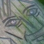A Portrait Of Picasso, By A Tractor In An Italian Wasteland