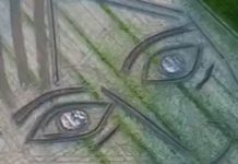 A Portrait Of Picasso, By A Tractor In An Italian Wasteland