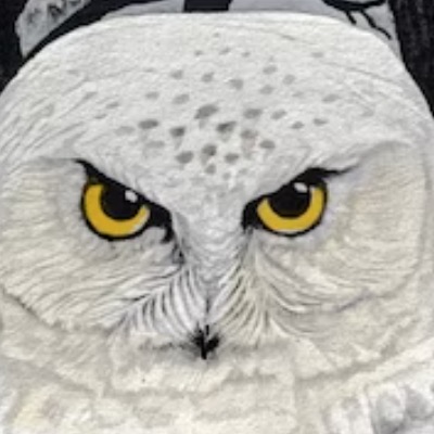 Is It Time To Rename The Audubon Society For This Bird Artist?