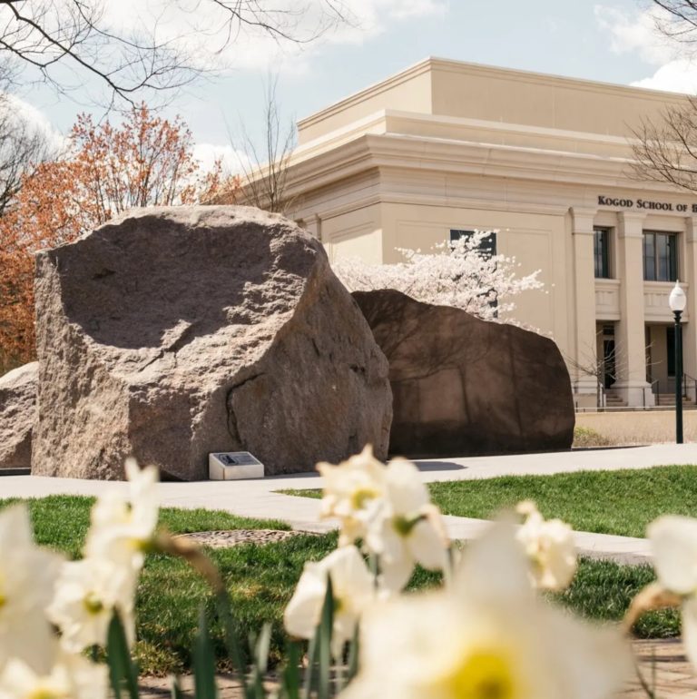 Giant 225-Ton Landscape Art Relocated Across Washington DC
