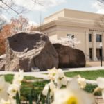 Giant 225-Ton Landscape Art Relocated Across Washington DC