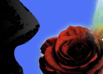 Urgently Needed: A Defense Of Humanism