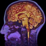 Scientists: Human Memory Can Be Unreliable Almost Immediately
