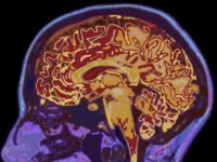 Scientists: Human Memory Can Be Unreliable Almost Immediately