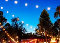 Why Has The Hometown Paper Been Boycotting This Year’s Adelaide Fringe Festival?