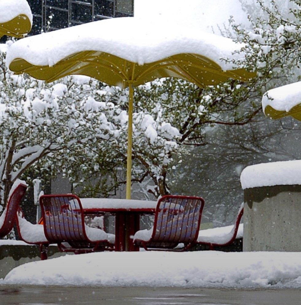 The Pure, Simple Mathematics Of Great Poetry