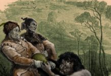 Shakespeare’s Environmentalism