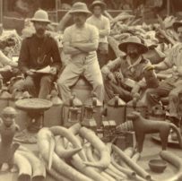 The Inevitable Backlash Against Anti-Colonialism