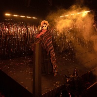 Immersive Theater Meets Mexican Masked Wrestling