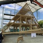 Using Medieval Tools And Techniques To Rebuild Notre-Dame’s Medieval Roof