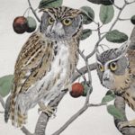 Maybe This Man, Not John James Audubon, Is The Painter Of Birds We Should Revere