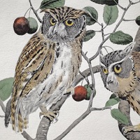 Maybe This Man, Not John James Audubon, Is The Painter Of Birds We Should Revere