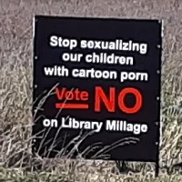Library Funding Has Become Another Weapon In The Culture War Over Books