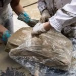 Rare Books Damaged In Italy’s Recent Floods Are Being Salvaged By Flash-Freezing Them