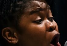 Don’t Let The Pigeon Go To The Opera