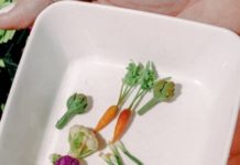 The Big World Of Dollhouse Miniature Art