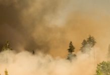 When The World Ends With A Whimper