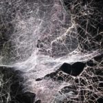 Art World Discussion: What’s The Role Of Art In These Uncertain Times?