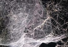 Art World Discussion: What’s The Role Of Art In These Uncertain Times?