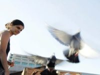 Getty Revives Collaborative Southern-California-Defining Pacific Standard Time Project