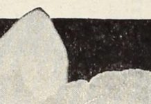 Forget Bromances – Female Literary Friendships Are In