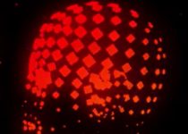 On The Internet No One Knows You’re An AI