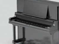 Of Racism, Music And Musicology