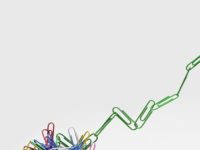 How To Create Data-Driven Culture