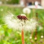 The Arts’ Power To Influence Behavior To Address Climate Change