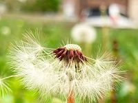 The Arts’ Power To Influence Behavior To Address Climate Change