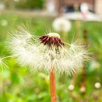 The Arts’ Power To Influence Behavior To Address Climate Change