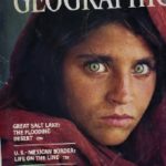 National Geographic Has Laid Off The Remainder Of Its Writing Staff