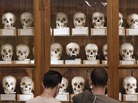 At Philadelphia’s Oddest Museum, Changes By New Leadership To Make It Less Odd Are Getting Major Pushback