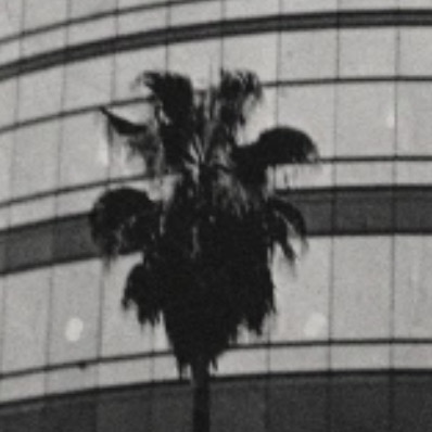 The Directors Guild Has Reached A Tentative Agreement With Studios