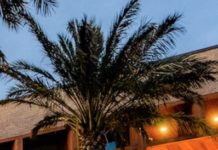 The International African American Museum Opens At Long Last