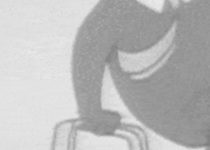 Probing The Life (And Deaths) Of Social Media Networks And What Makes Them Work (Or Not)