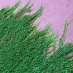 David Brooks: The “Merit” System We Built For Universities Is Working Against Us