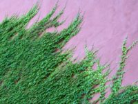 David Brooks: The “Merit” System We Built For Universities Is Working Against Us