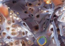 In The Age Of AI, Form Seems To Be Making A Comeback