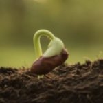 How A Regional Foundation Radically Evolved To Serve The Arts