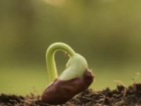 How A Regional Foundation Radically Evolved To Serve The Arts