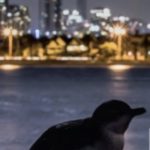 How AI Will Unlock Now Artistic Worlds